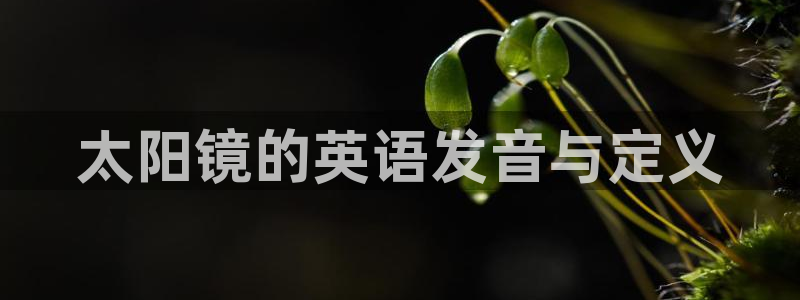 辉达集团官方网站